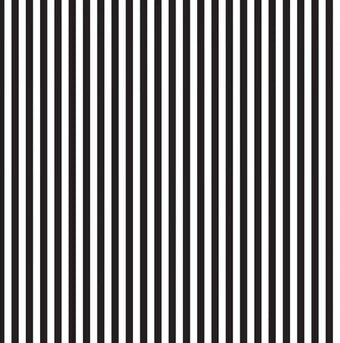 Riley Blake - Black & White Stripes 1/4”
