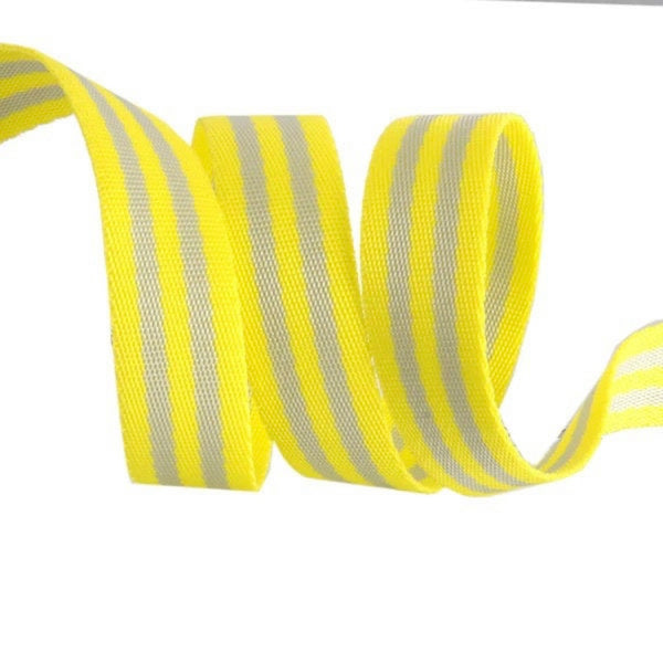 Tula Pink Webbing - 1”  Grey & yellow