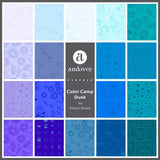 Alison Glass Color Camp - 21 pc FQ Bundle / DUSK