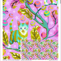 Tabby Road DejaVu - PWTP233 - CLUB Kitty -  Electroberry