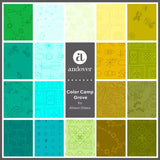 Alison Glass Color Camp - 21 pc FQ Bundle / GROVE