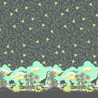 *ROAR! - Tula Pink - Meteor Shower- PWTP226.Storm - Preorder April 2024