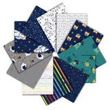 Meowter Space by Pammie Jane - 12 pc Factory Cut FQ Bundle  - preorder August 2026