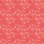 Phoebe - Flamingo Mothy
