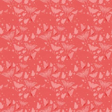Phoebe - Flamingo Mothy