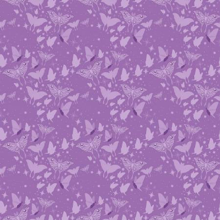 Phoebe - Wysteria Mothy