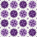 Phoebe - Grape Star Bright