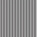 Riley Blake - Black & White Stripes 1/4”