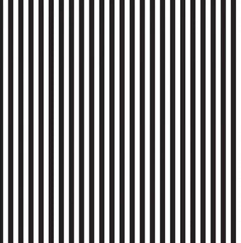 Riley Blake - Black & White Stripes 1/4”
