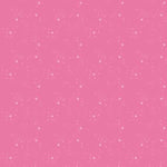 - Pammie Jane - Kitty Litter - Ballet