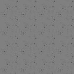 Pammie Jane - Kitty Litter - Cement