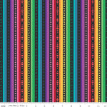 BLOOM Rainbow Stripe Black C14981