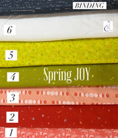 Sidewalk Chalk Quilt Kit - Spring JOY - 54”x64”