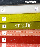 Sidewalk Chalk Quilt Kit - Spring JOY - 54”x64”