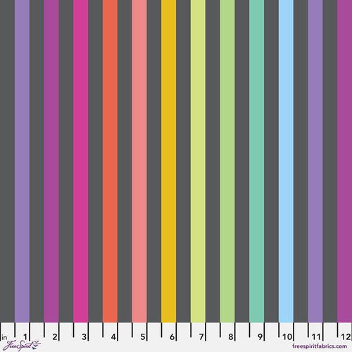 Tula Pink Graywork True Colors - Disco Stripe Carbon  - preorder October 2025