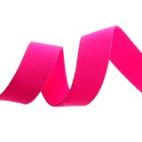 Renaissance Ribbon WEBBING - 1” Tula Pink  Neon Cosmic - 1 meter 40”