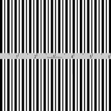 Black MINI Awning Stripe