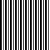 Black MINI Awning Stripe
