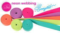 Renaissance Ribbon WEBBING - 1” Tula Pink  Neon Cosmic - 1 meter 40”