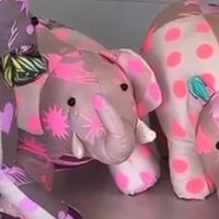 iPaper Pattern - Funky Friends - Elephant