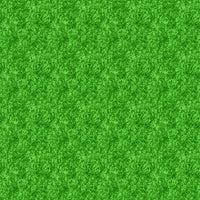 ACID WASH - Green 92015-76